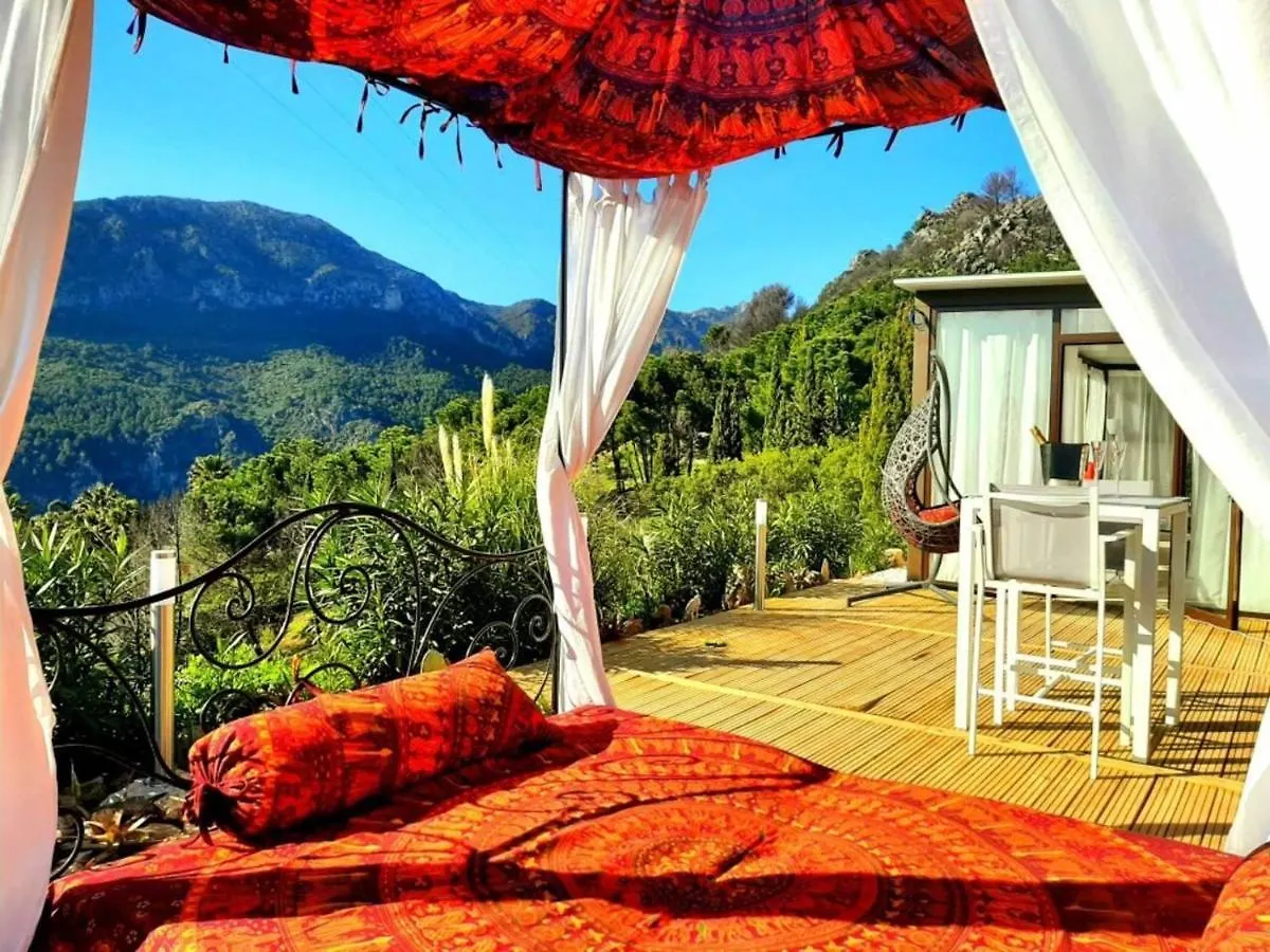 Stylish Beautiful And Exotic Oleandro Glass Suite Casares