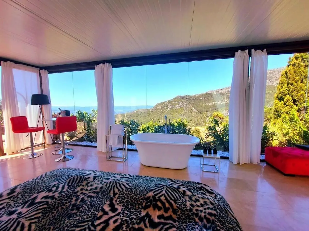 Stylish Beautiful And Exotic Oleandro Glass Suite Casares